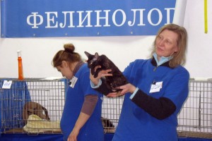 18-02.2012 Выставка Минск 2012 (14)